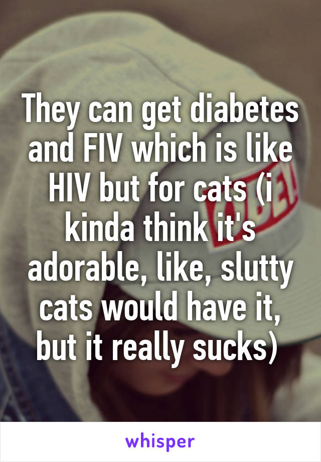 They can get diabetes and FIV which is like HIV but for cats (i kinda think it's adorable, like, slutty cats would have it, but it really sucks) 