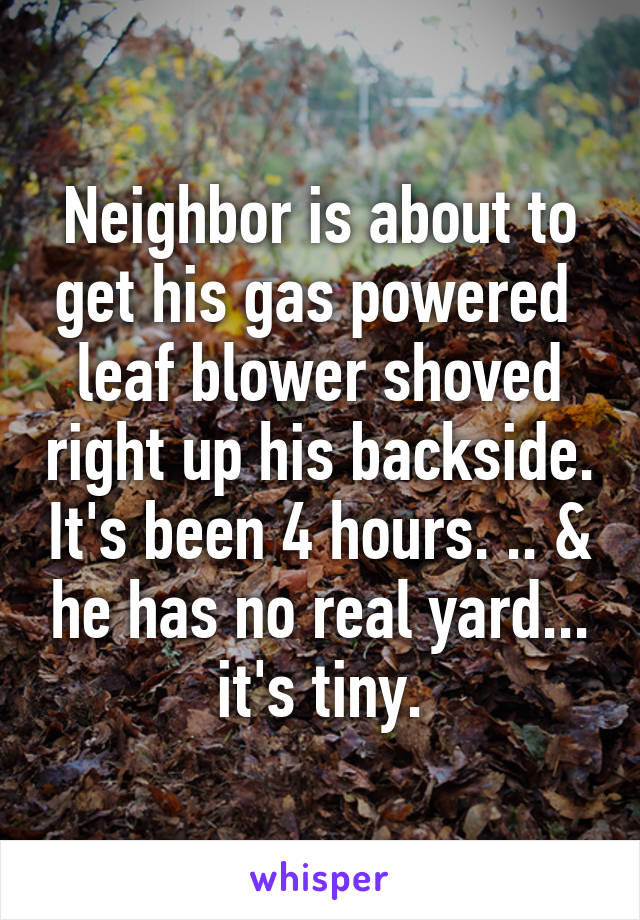 Neighbor is about to get his gas powered  leaf blower shoved right up his backside. It's been 4 hours. .. & he has no real yard... it's tiny.