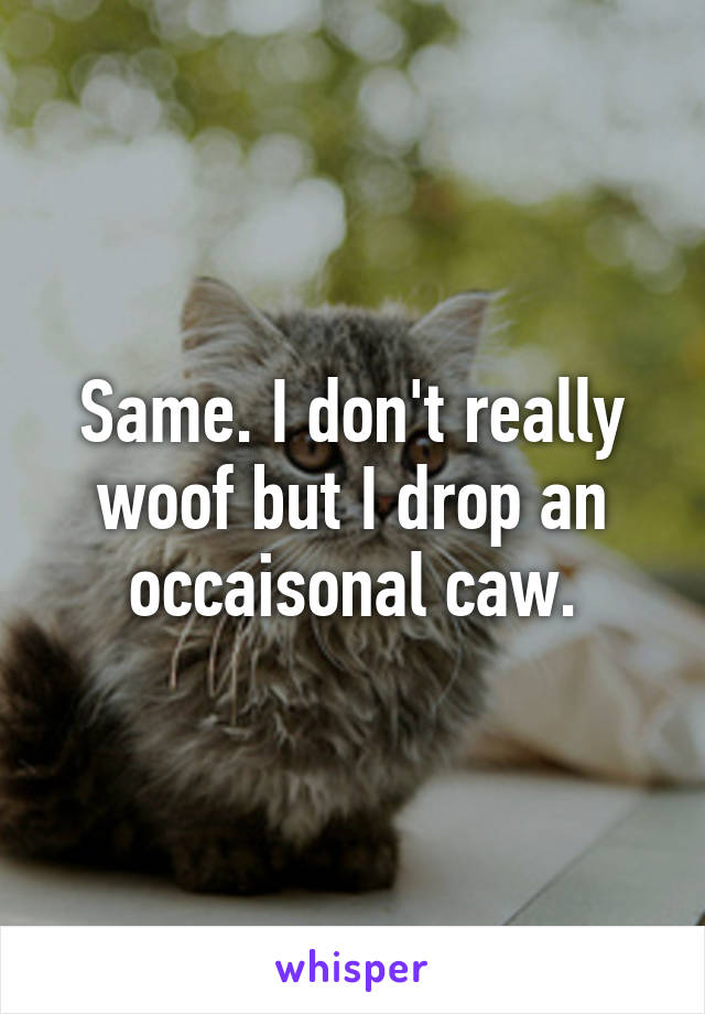 Same. I don't really woof but I drop an occaisonal caw.