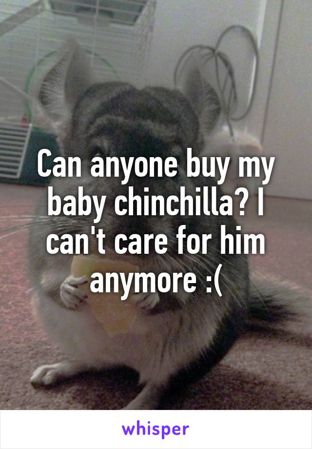 Can anyone buy my baby chinchilla? I can't care for him anymore :(