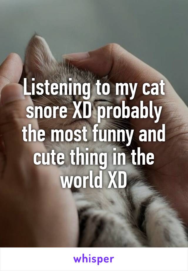 Listening to my cat snore XD probably the most funny and cute thing in the world XD