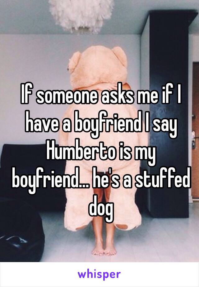 If someone asks me if I have a boyfriend I say Humberto is my boyfriend… he's a stuffed dog 