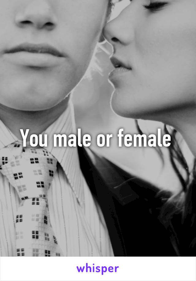 You male or female 