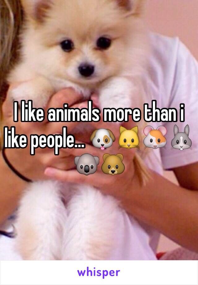 I like animals more than i like people... 🐶🐱🐹🐰🐨🐻