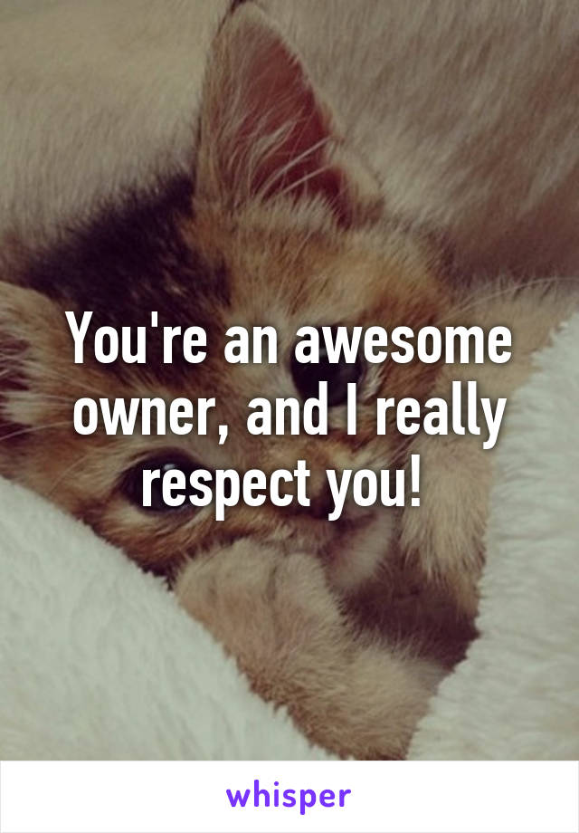 You're an awesome owner, and I really respect you! 