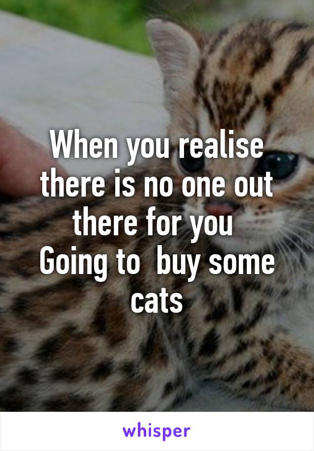 When you realise there is no one out there for you 
Going to  buy some cats