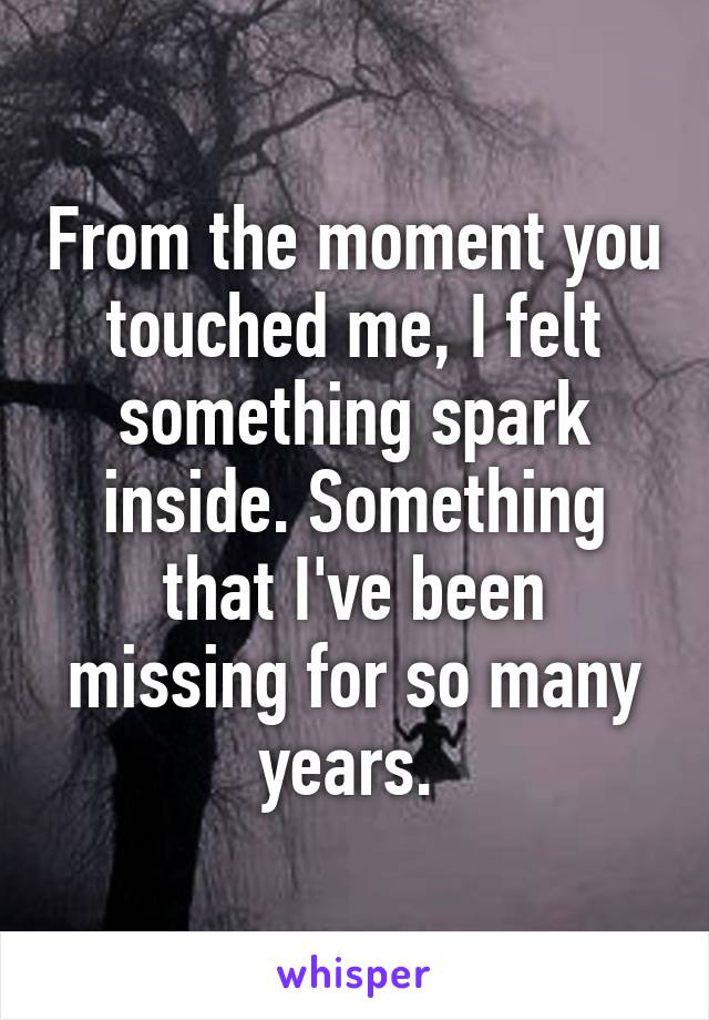 From the moment you touched me, I felt something spark inside. Something that I've been missing for so many years. 