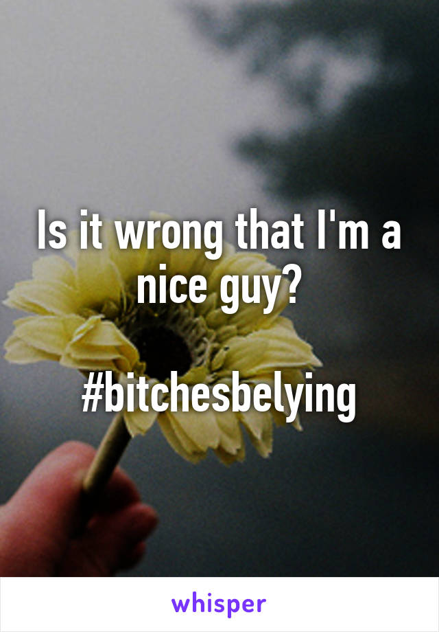 Is it wrong that I'm a nice guy?

#bitchesbelying