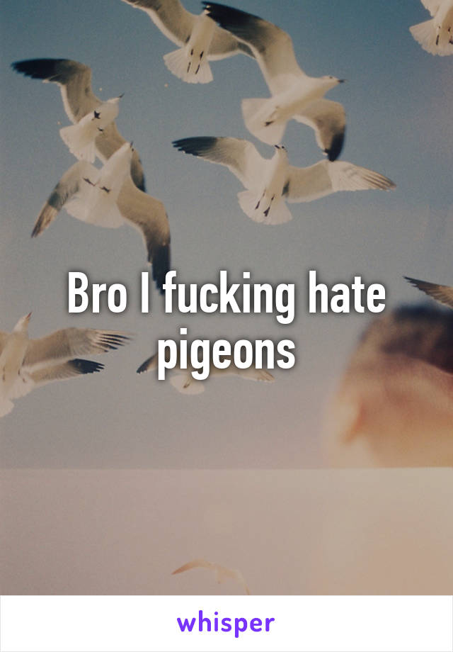 Bro I fucking hate pigeons