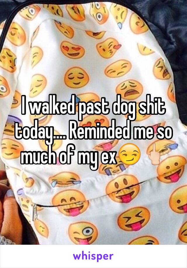 I walked past dog shit today.... Reminded me so much of my ex😏🖕🏻