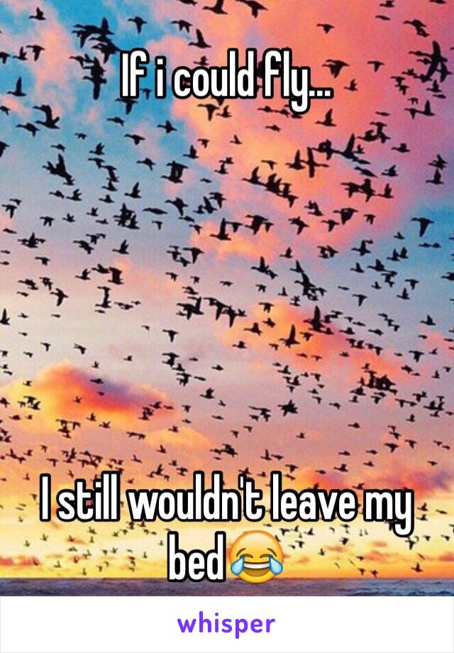 If i could fly...






I still wouldn't leave my bed😂