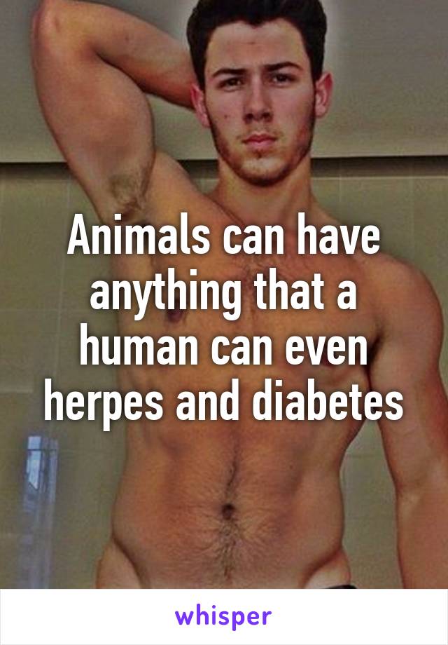 Animals can have anything that a human can even herpes and diabetes