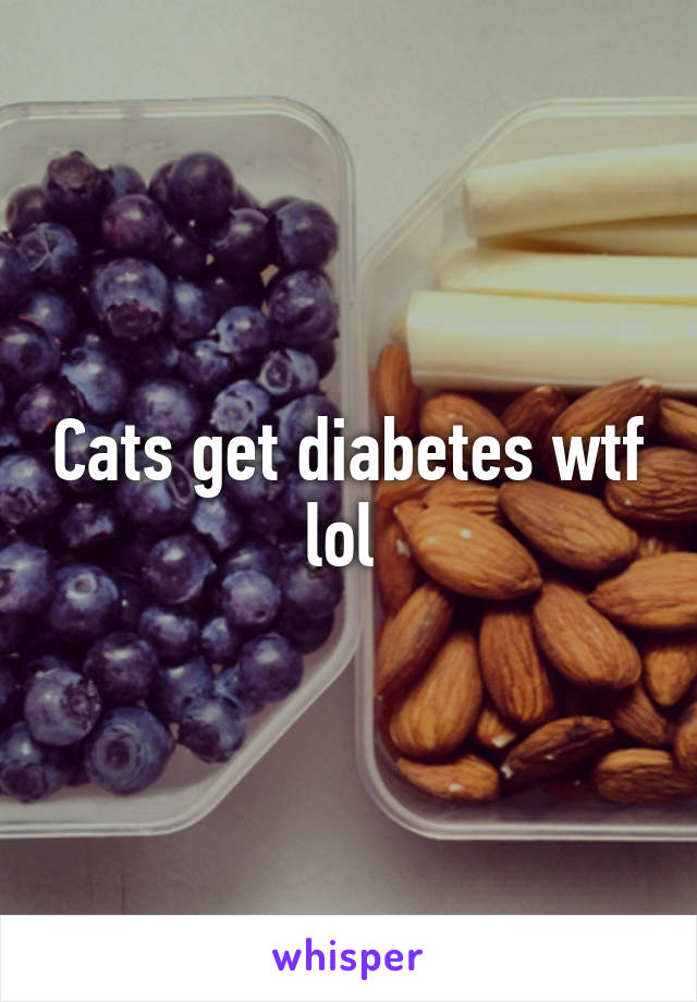 Cats get diabetes wtf lol 