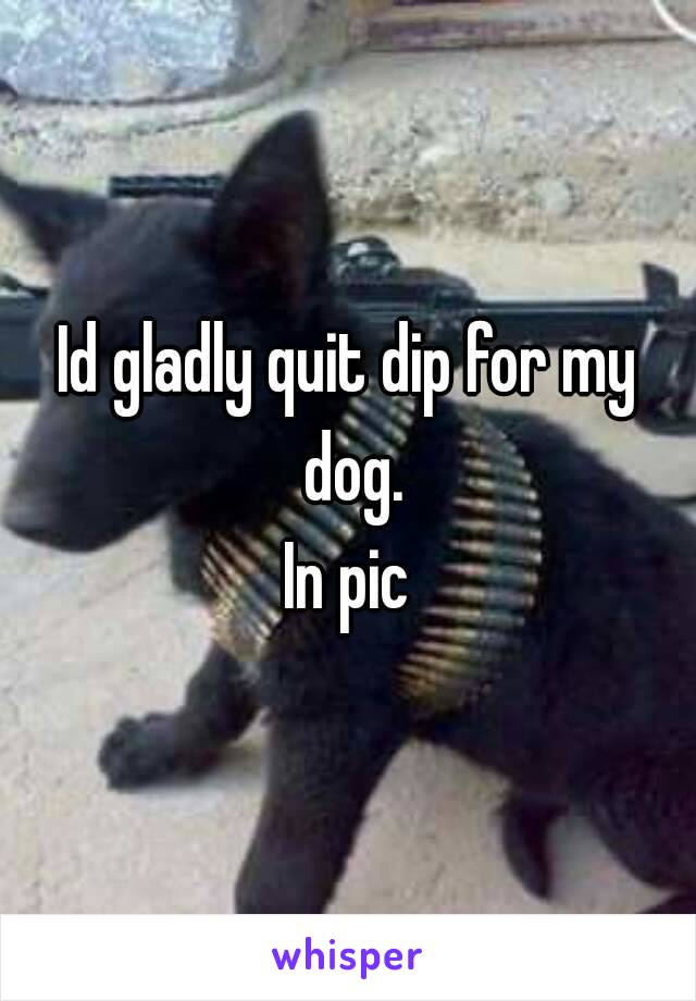 Id gladly quit dip for my dog.
In pic