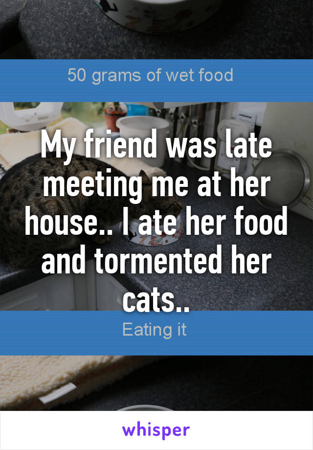 My friend was late meeting me at her house.. I ate her food and tormented her cats..