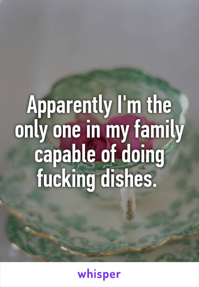 Apparently I'm the only one in my family capable of doing fucking dishes. 