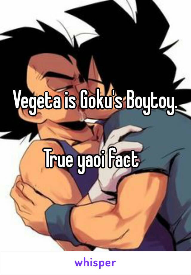 Vegeta is Goku's Boytoy.

True yaoi fact  