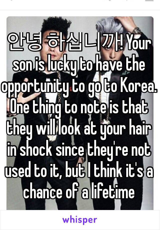 안녕 하십니까! Your son is lucky to have the opportunity to go to Korea. One thing to note is that they will look at your hair in shock since they're not used to it, but I think it's a chance of a lifetime 