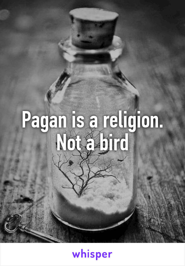 Pagan is a religion. Not a bird