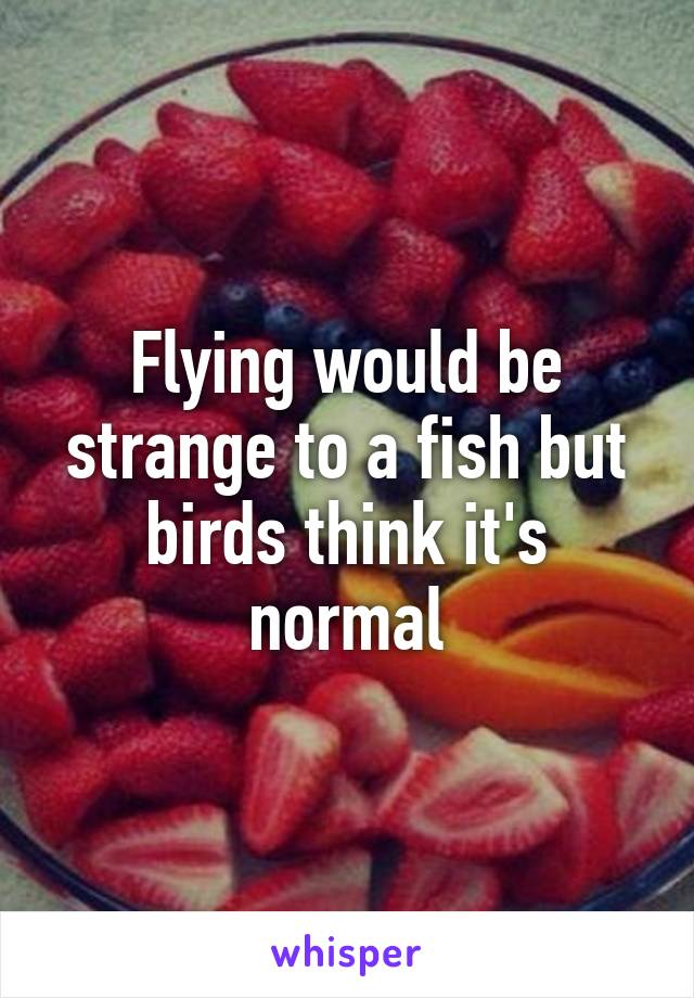 Flying would be strange to a fish but birds think it's normal