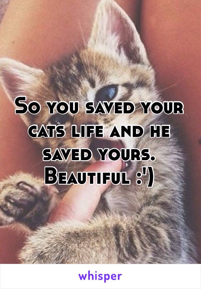 So you saved your cats life and he saved yours.
Beautiful :')