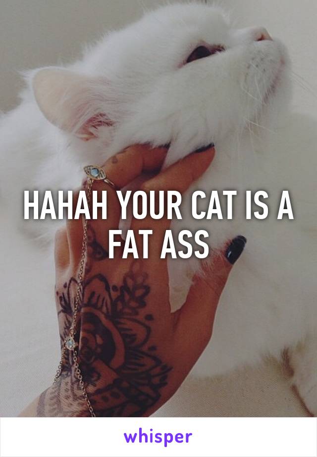 HAHAH YOUR CAT IS A FAT ASS