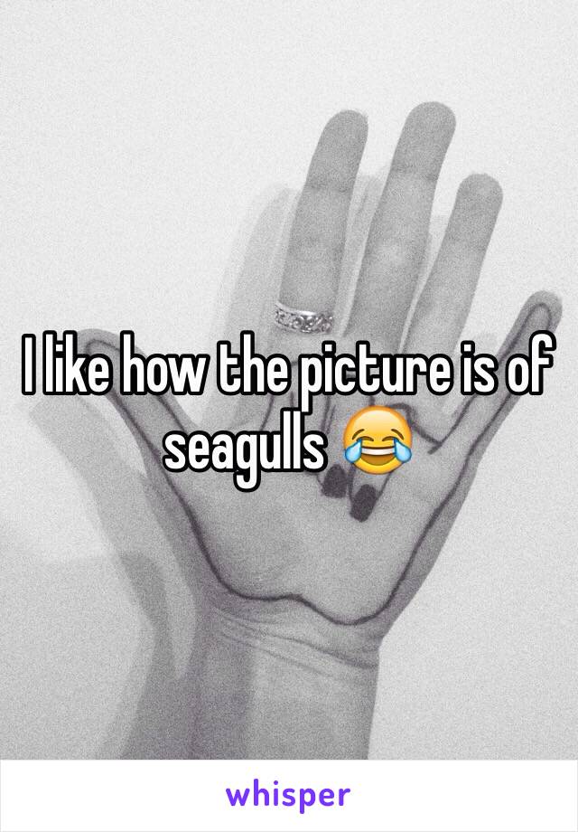 I like how the picture is of seagulls 😂