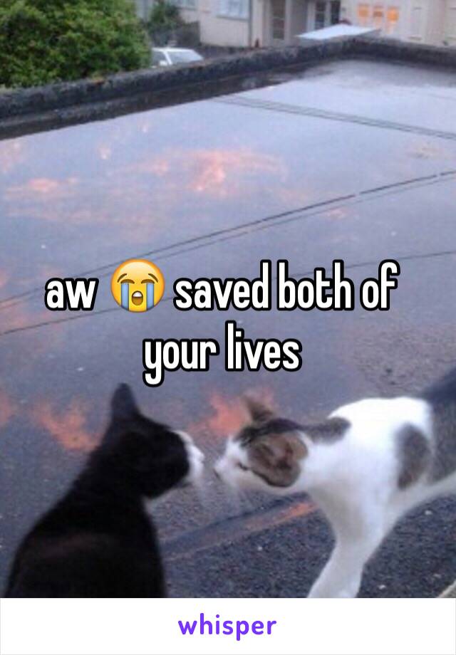 aw 😭 saved both of     your lives 