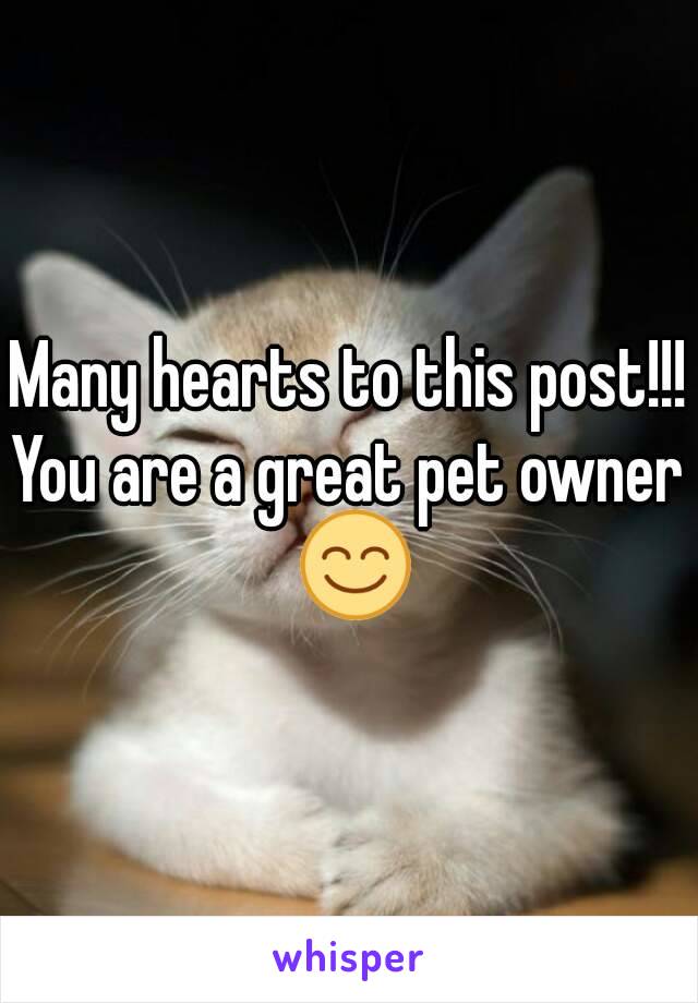 Many hearts to this post!!!
You are a great pet owner 😊