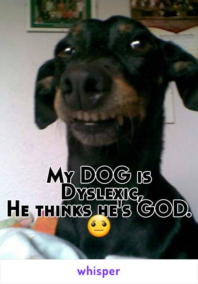 My DOG is Dyslexic,
He thinks he's GOD.
😐