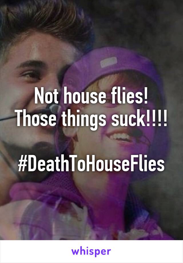 Not house flies! Those things suck!!!!

#DeathToHouseFlies