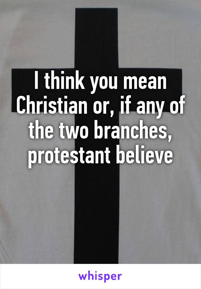 I think you mean Christian or, if any of the two branches, protestant believe

