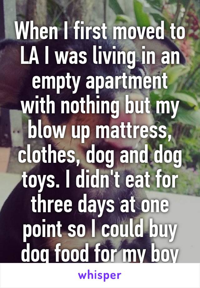 When I first moved to LA I was living in an empty apartment with nothing but my blow up mattress, clothes, dog and dog toys. I didn't eat for three days at one point so I could buy dog food for my boy