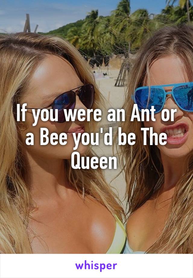 If you were an Ant or a Bee you'd be The Queen 