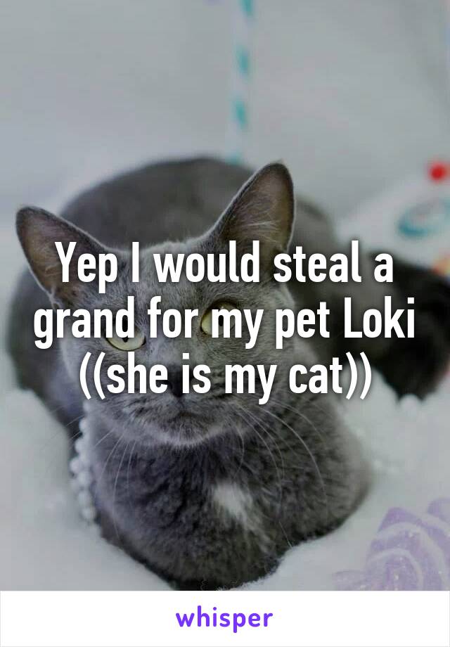 Yep I would steal a grand for my pet Loki ((she is my cat))