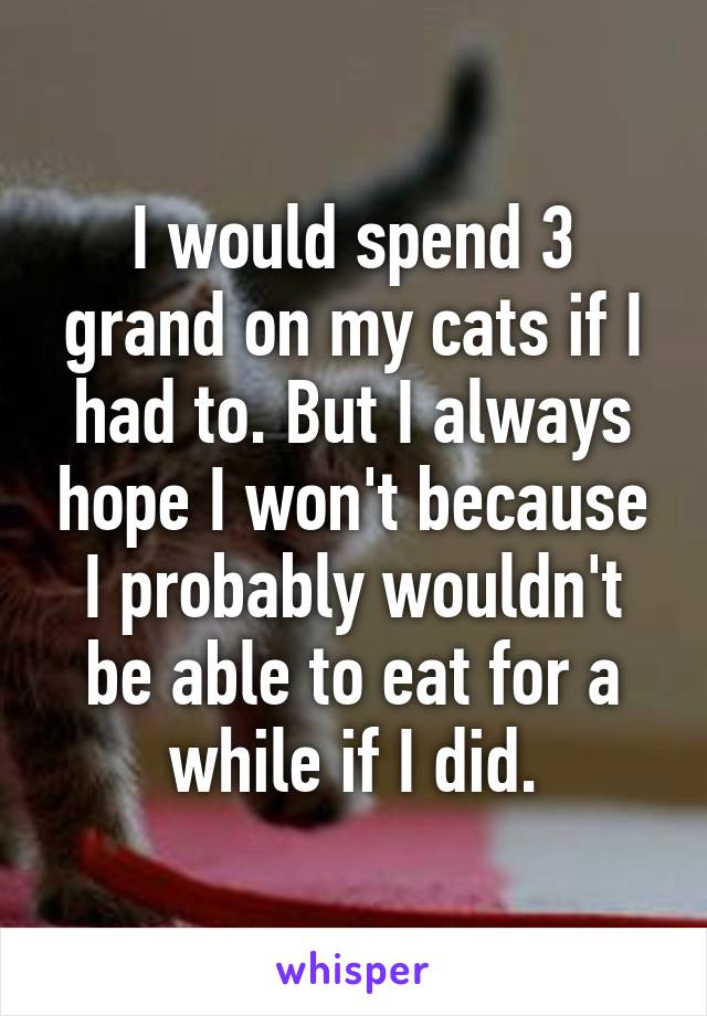 I would spend 3 grand on my cats if I had to. But I always hope I won't because I probably wouldn't be able to eat for a while if I did.