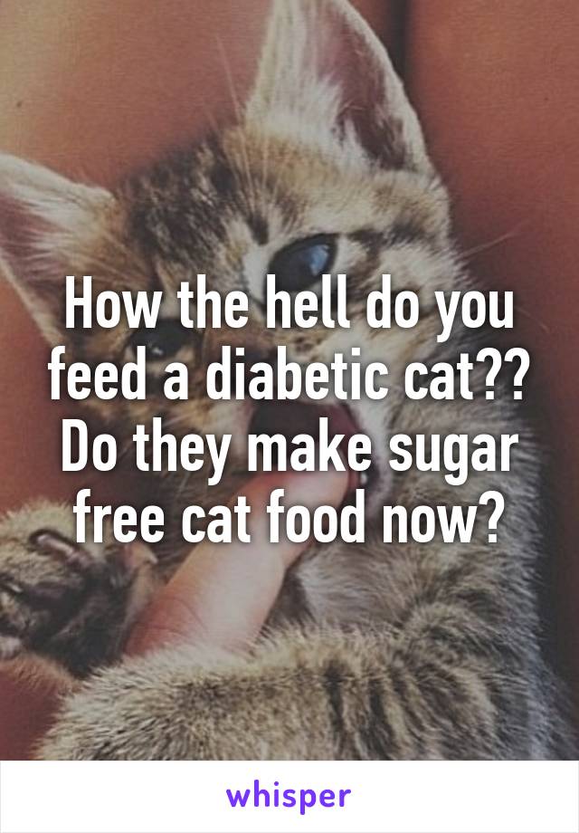 How the hell do you feed a diabetic cat?? Do they make sugar free cat food now?