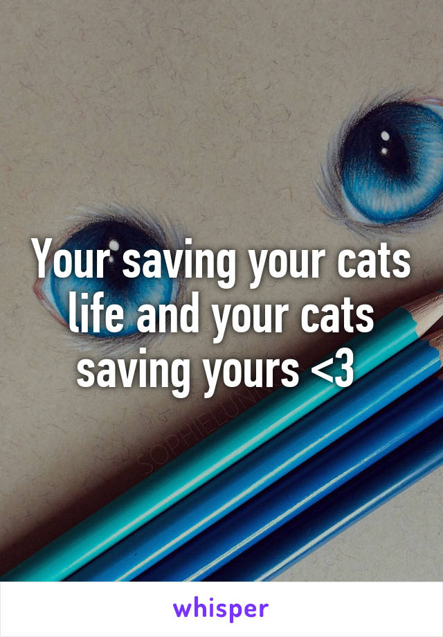 Your saving your cats life and your cats saving yours <3 