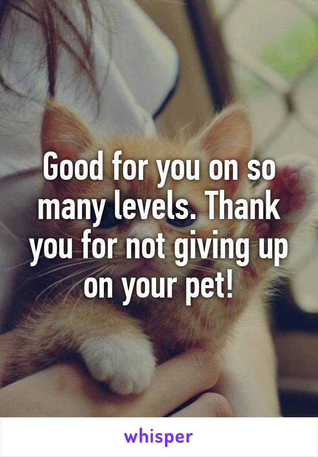 Good for you on so many levels. Thank you for not giving up on your pet!