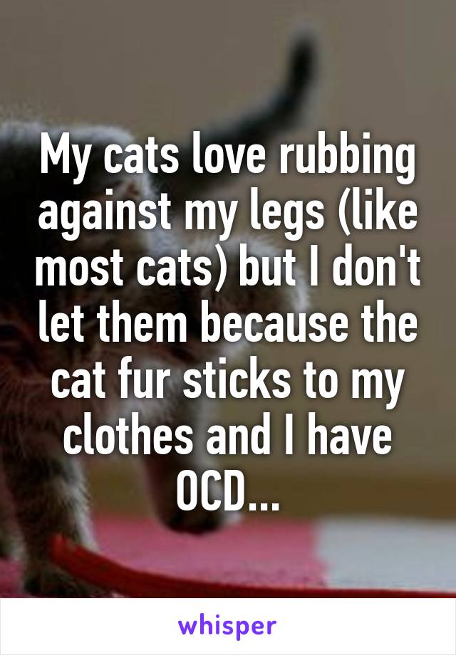 My cats love rubbing against my legs (like most cats) but I don't let them because the cat fur sticks to my clothes and I have OCD...