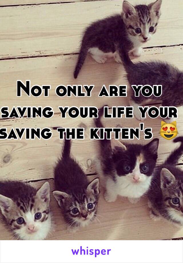 Not only are you saving your life your saving the kitten's 😻