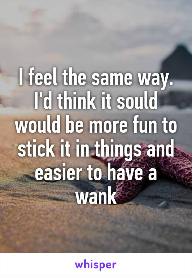 I feel the same way. I'd think it sould would be more fun to stick it in things and easier to have a wank