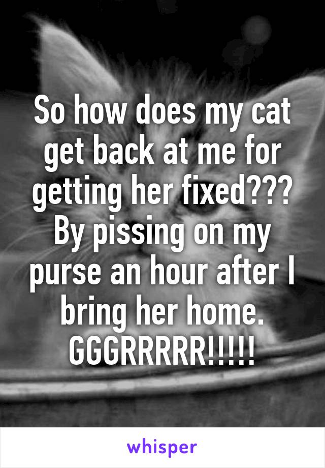 So how does my cat get back at me for getting her fixed??? By pissing on my purse an hour after I bring her home. GGGRRRRR!!!!!