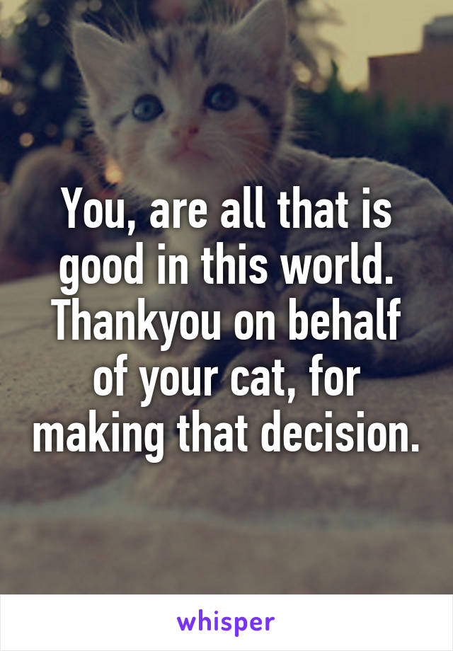 You, are all that is good in this world. Thankyou on behalf of your cat, for making that decision.