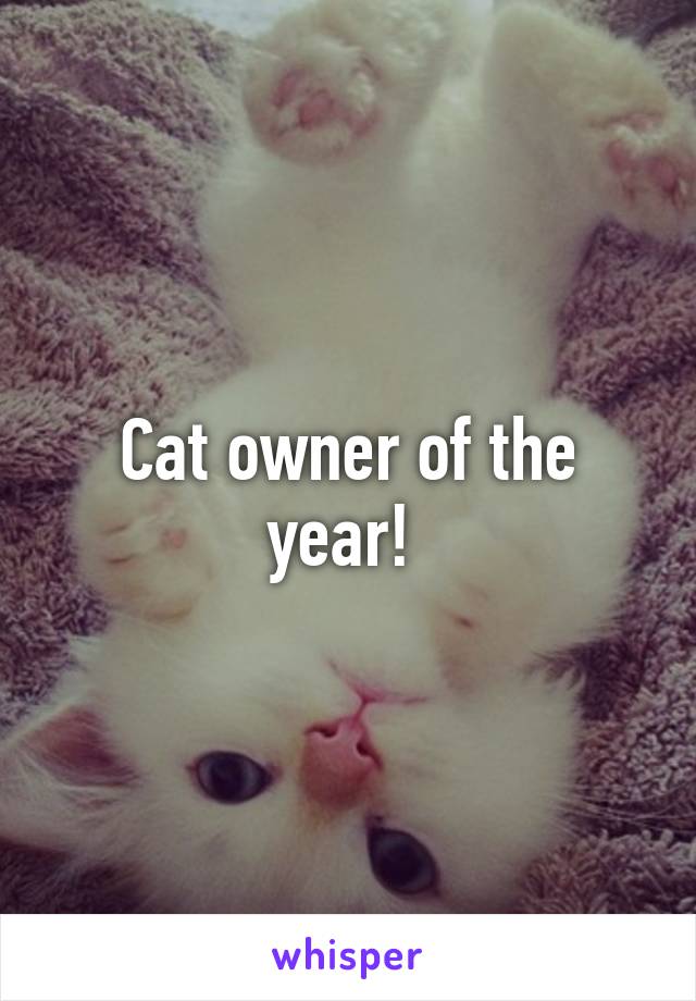 Cat owner of the year! 