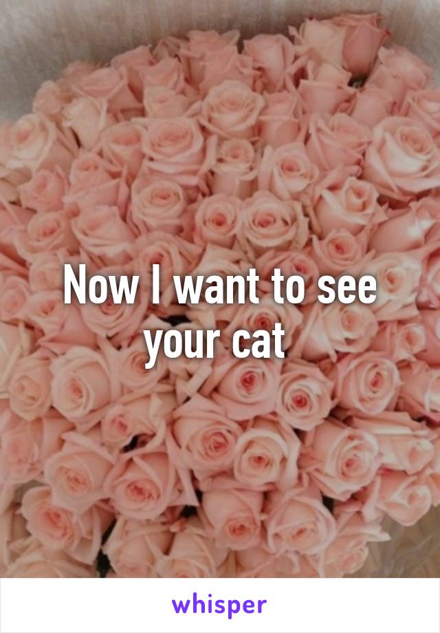 Now I want to see your cat 