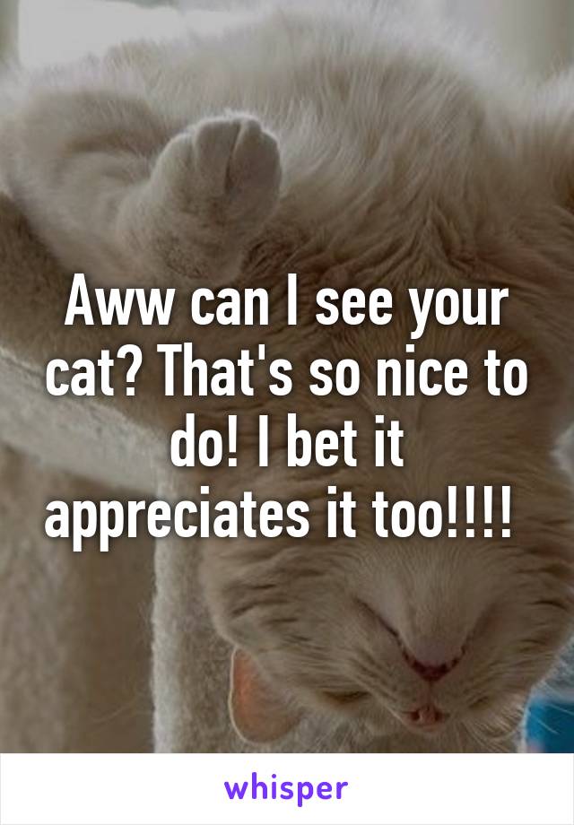 Aww can I see your cat? That's so nice to do! I bet it appreciates it too!!!! 