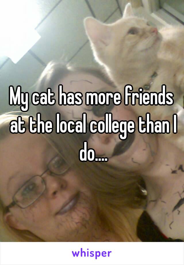 My cat has more friends at the local college than I do....