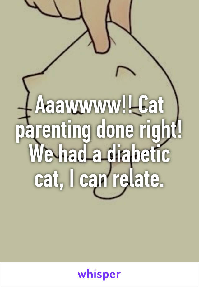 Aaawwww!! Cat parenting done right! We had a diabetic cat, I can relate.