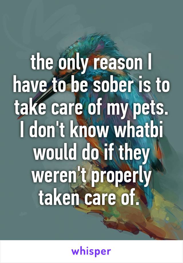 the only reason I have to be sober is to take care of my pets. I don't know whatbi would do if they weren't properly taken care of. 